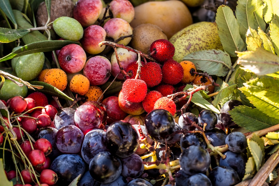 No coma alimentos inadecuados No coma alimentos inadecuados